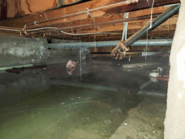 Best Sewage cleanup and water damage restoration  in Trussville, AL