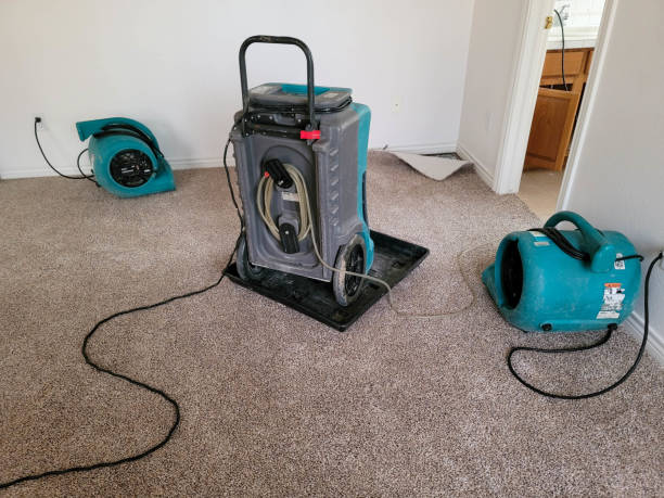 Best Carpet water damage restoration  in Trussville, AL