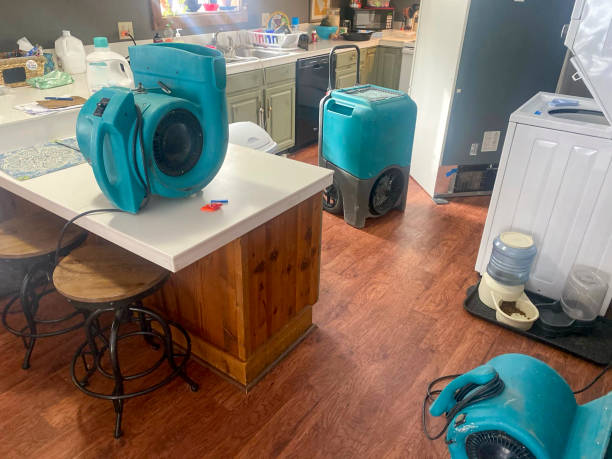 Best Flooded house restoration  in Trussville, AL