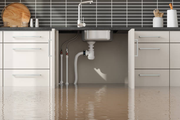 Best Residential water damage restoration  in Trussville, AL