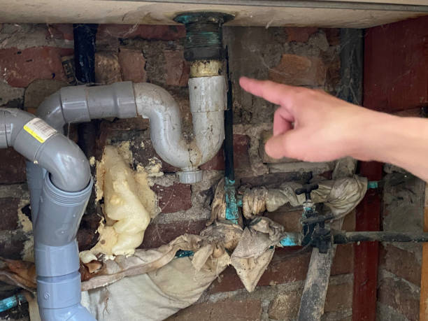 Best Water damage cleanup near me  in Trussville, AL