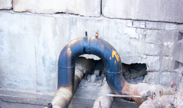 Best Carpet water damage restoration  in Trussville, AL