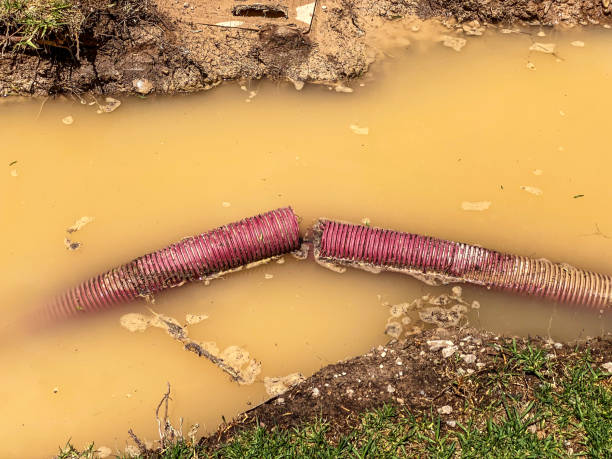 Carpet water damage restoration in Trussville, AL