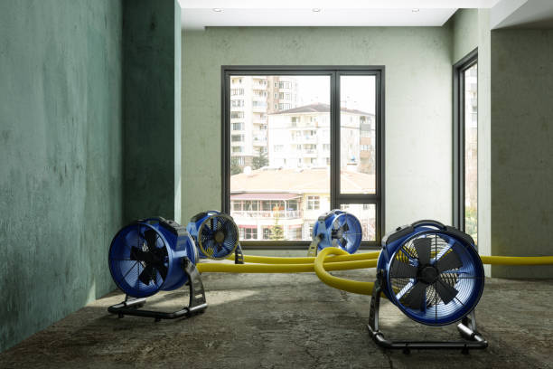 Best Commercial water damage restoration  in Trussville, AL